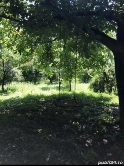 Vand 1200 mp (teren intravilan+ casa), Leu , jud Dolj livada pomi - 3