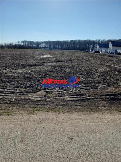 Vanzare Teren-8100mp-Domnesti -Teghes - 3