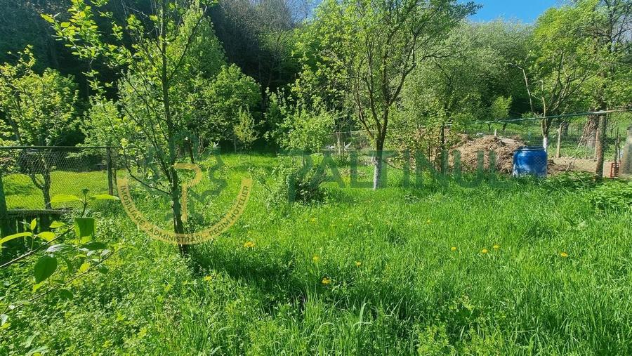 Casă de v&acirc;nzare &icirc;n Cisnădioara, curte mare și vedere spre munte - 4