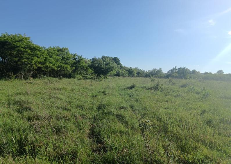 Busag, 45 ari teren intrav. - 3