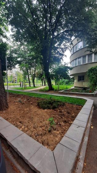 Apartament 4 camere Favorit - 7