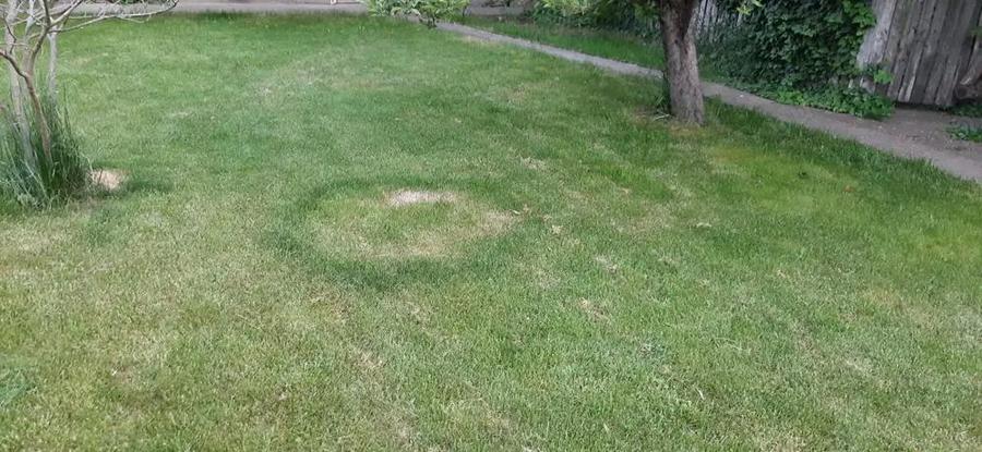 Case + teren 3000mp. de vanzare - 3