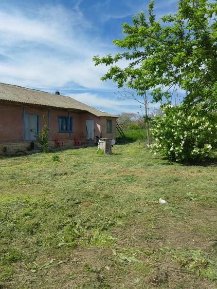 Casa de vanzare, judetul Tulcea sat Lunca - 4
