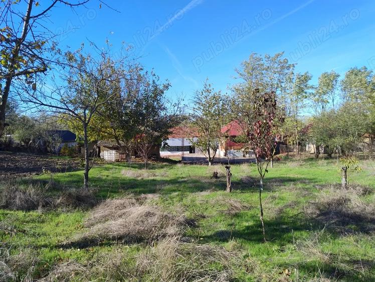 Vand casa batraneasca - 4