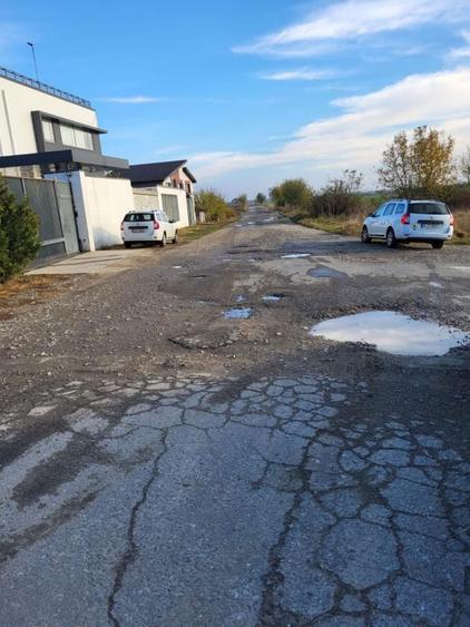 Teren 9000 Com. Clinceni Jud. Ilfov - 1