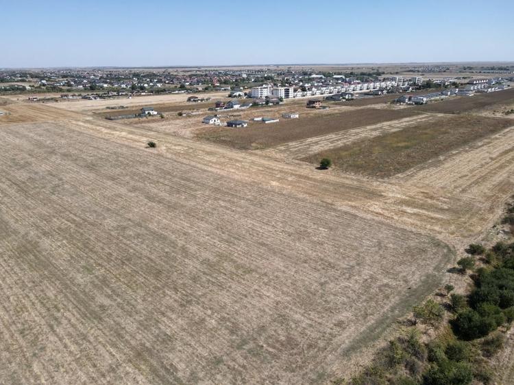 Teren Intravilan Com Berceni | utilitati: curent - gaz | #MG14E - 6