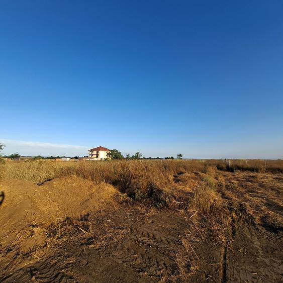 Corbu-teren intravilan construibil - 2