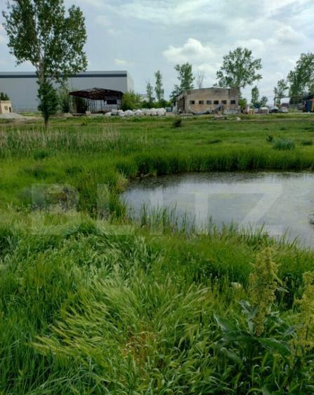 Teren intravilan in spatele Peugeot, 3600mp, 11m deschidere - 3