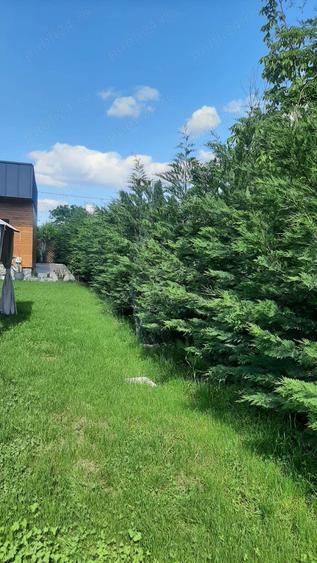 Casa pe parter cu curte 1000 mp - 2