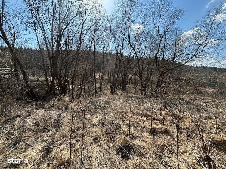 Teren Faget/ investitie - 2