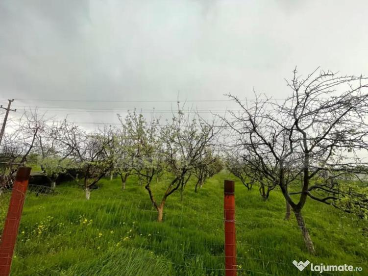 Teren intravilan 4447 mp, Pielesti. 28 ml deschidere - 5