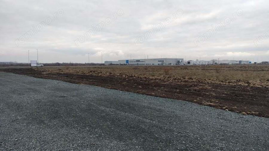 Inchiriez teren 4310 mp in Ghiroda - 1