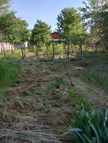 Casa de vanzare 3 camere - 1