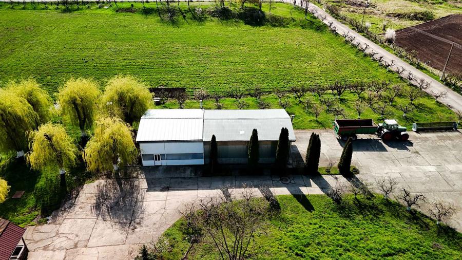 SE VINDE SAU SE INCHIRIAZA teren cu constructii Ludus - 3