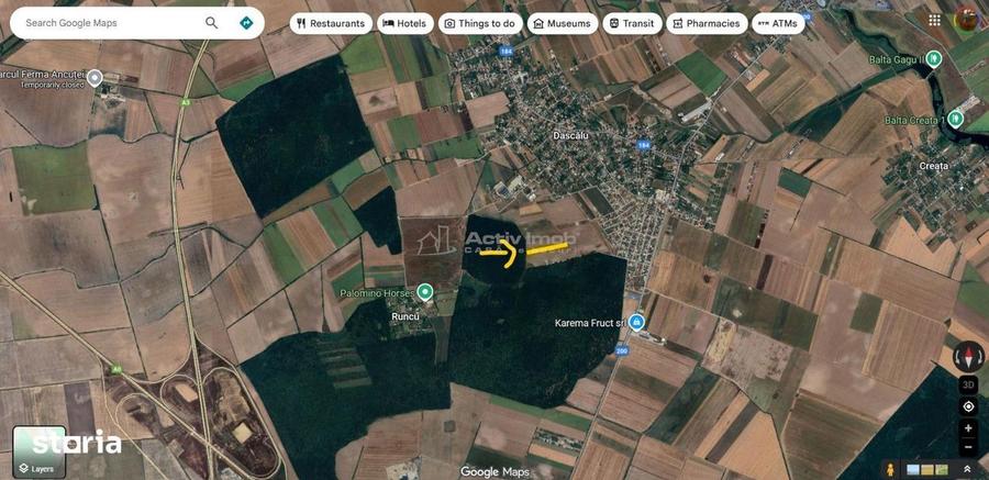 Teren Intravilan - Dascalu - 13500mp - deschidere 34.5mp - 2