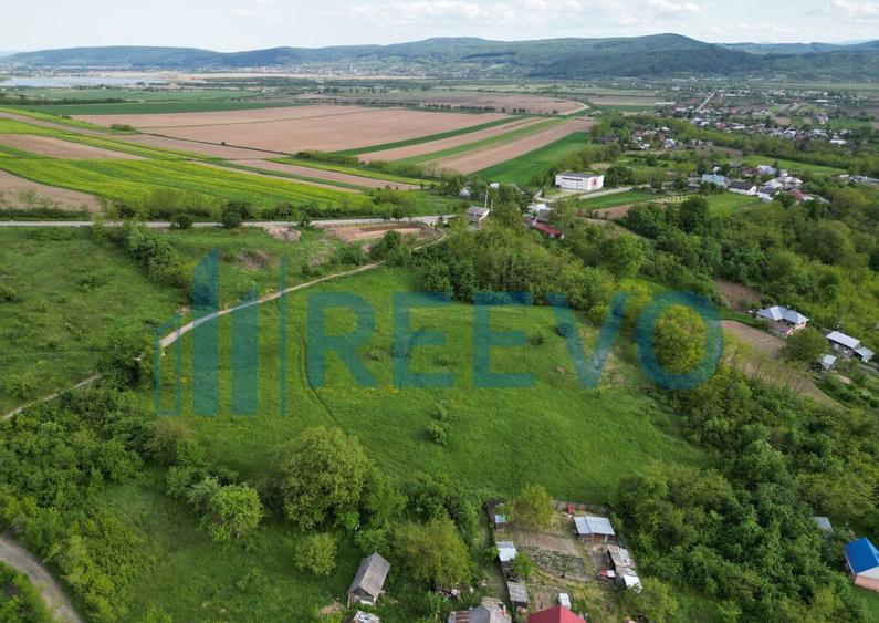 Teren de vanzare, Com. Racova, Str. Bradului, Bacau - 6