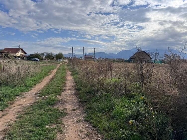 Teren dezvoltare rezidentiala Tarlungeni - zona Izvor - 10