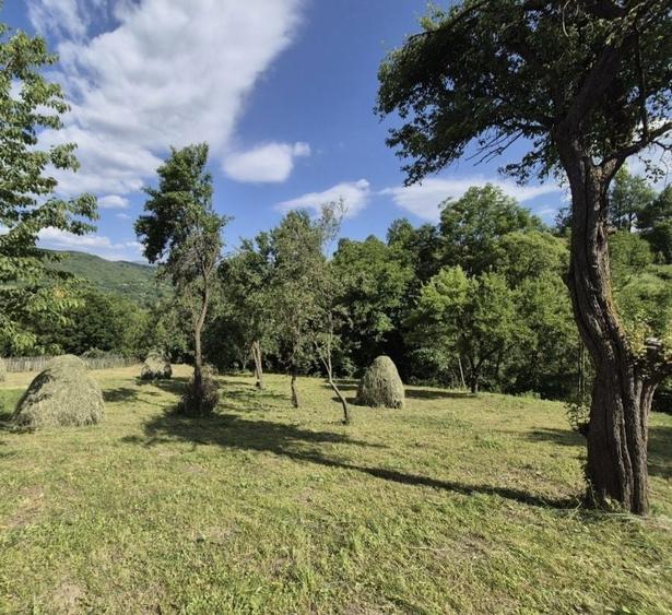 Vand 1200 mp teren parcelabil in Valea Doftanei . Prahova - 3