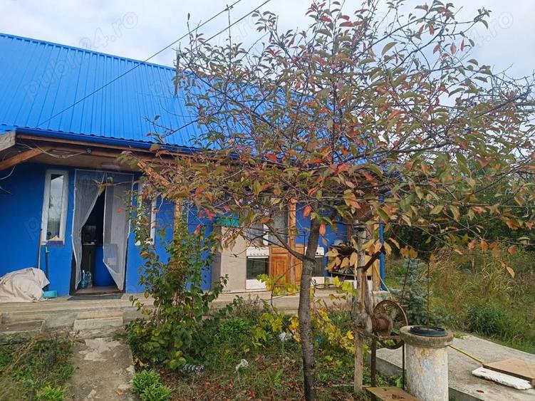 Casa la curte jud. Giurgiu Mirau - 7