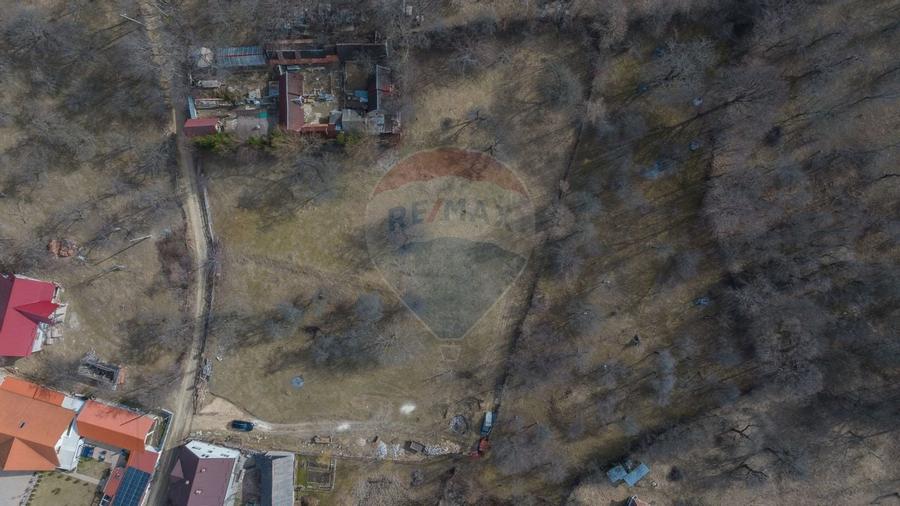 Teren 1,614mp Sohodol / Strada Inv. Ioan Puscariu - 10