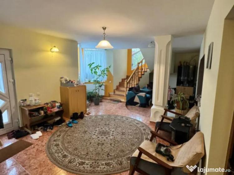 CASA DE VIS SAU AFACERE DE SUCCES BAIA SPRIE - 9