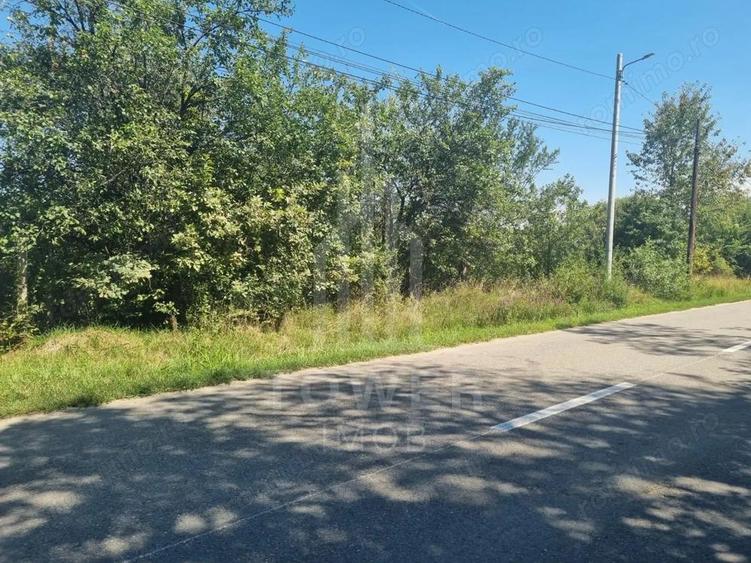 EXCLUSIVITATE! Teren la ?oseaua principala | Tocile - 8