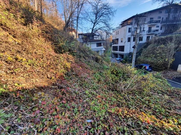 ZONA DEOSEBITA CU MULTA VERDEATA - 10