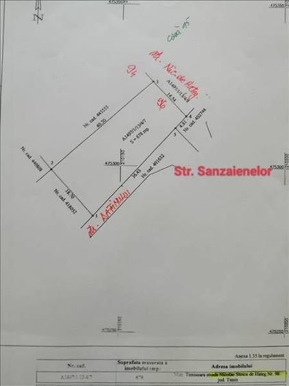 678 mp. str. N.Stoica de Hateg 96, colt cu str.Sanzaienelor/Dafinului - 6
