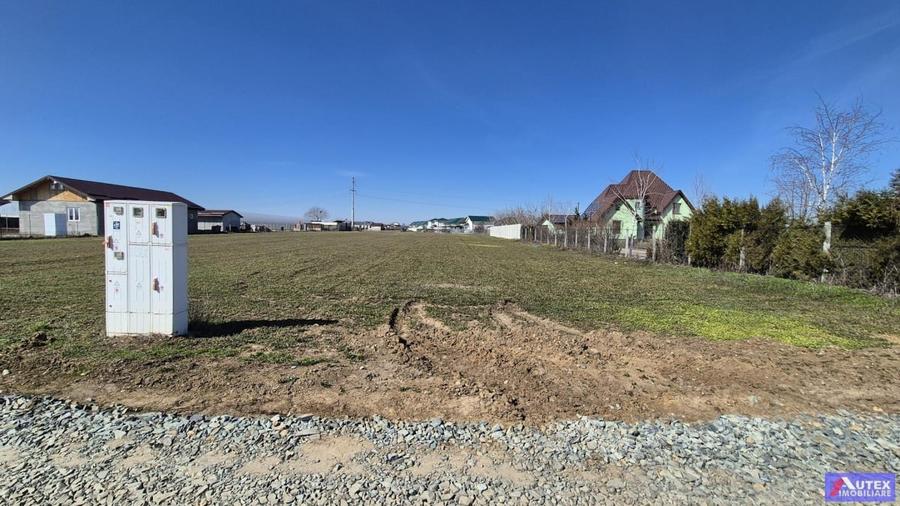 Teren de Casa 2480 mp cu utilitati- Oras Magurele - 1