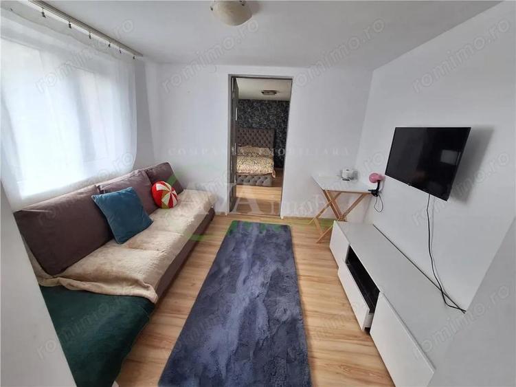 Proprietate ideala pentru familie extinsa sau investitie Serbanesti, Bacau - 20