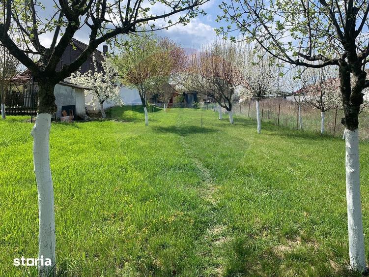 De vanzare casa cu 3 camere ?i teren 1090 mp in Ant - 6