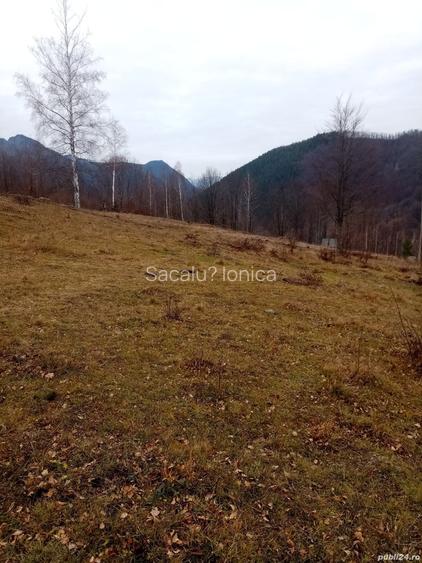 Teren de 10000 mp, în Lepșa