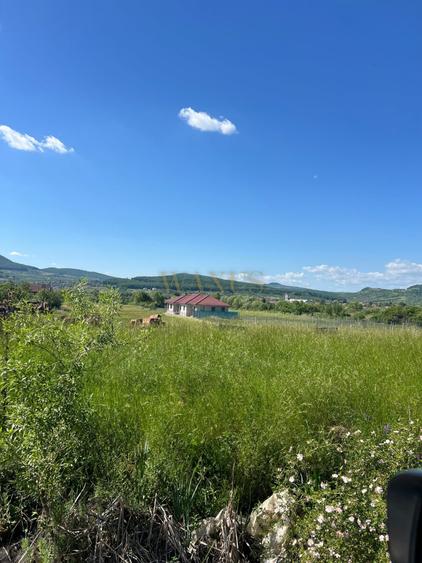 Teren Construcții intravilan de 12000 mp, în Nord