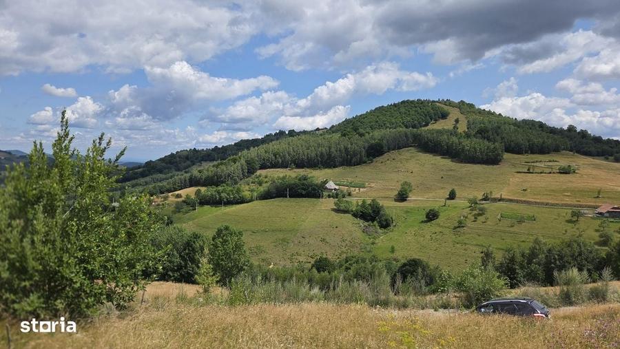 Casă cu 4 camere în Vișagu