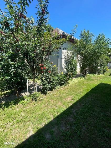 Casă cu 3 camere cu Teren 2704 Mp în Central