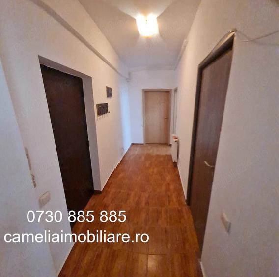 Apartament cu 2 camere decomandat în Roșu