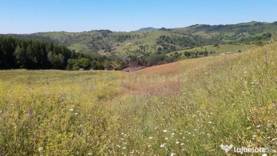 Teren de 9037 mp, în Plaiul Tălii