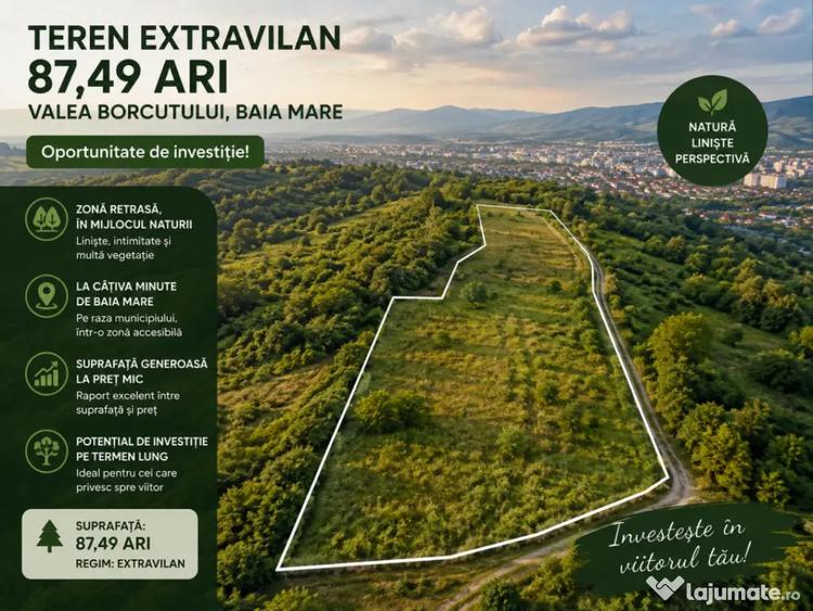 Teren în Valea Borcutului