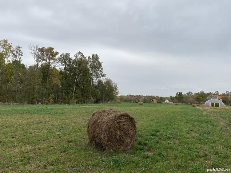 Teren de 4990 mp, în Duboz