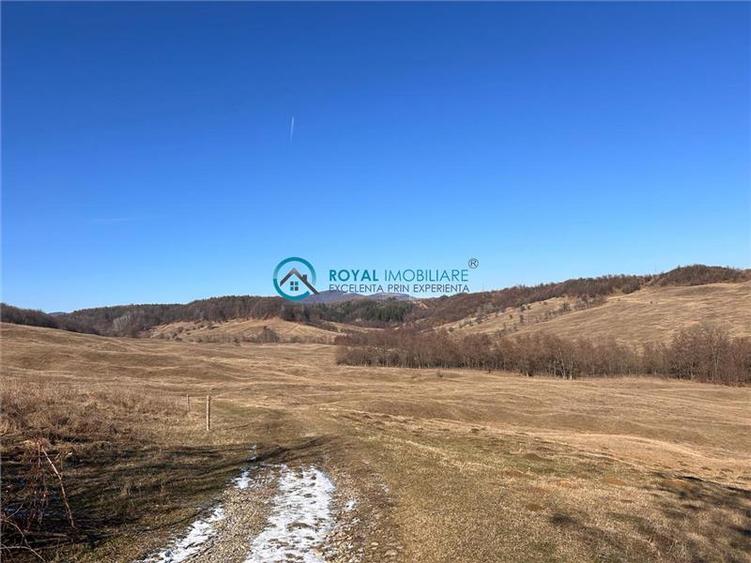 Royal Imobiliare- Vanzare Casa de Vacanta Teisani - 9