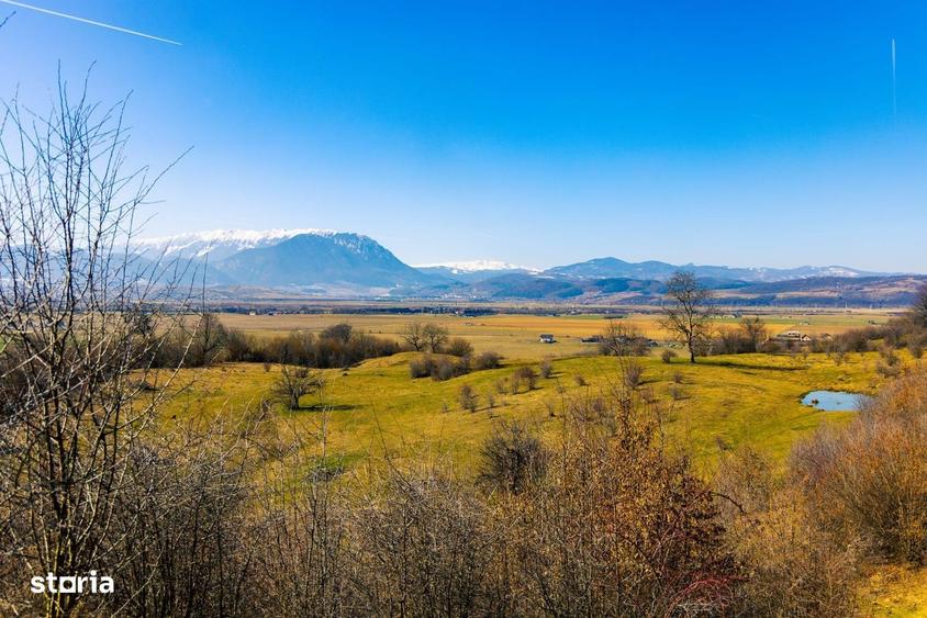 Teren 6 Hectare cu PUZ pentru Resort Turistic panorma Muntii Piatra Cr - 5