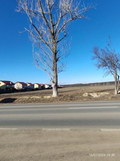 Teren de Vanzare in Balotesti-Moara Vlasiei - 5