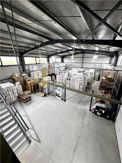 Vanzare hala industriala cu platforma betonata, in Paulestii Noi, acces tir - 15