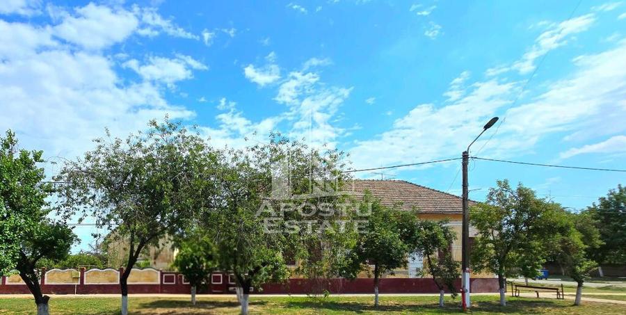 Casa 6 camere, Sandra, Teren 2217 mp - 12