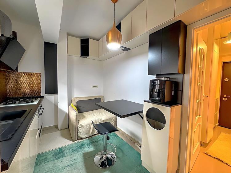 Sector 3 1 Decembrie 1918 garsoniera decomandata 40mp mobilata et 2/3 - 9