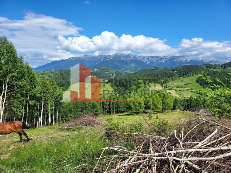 Teren Drumul Carului, Moieciu Suprafață: 29.595 mp | Intravilan - 4