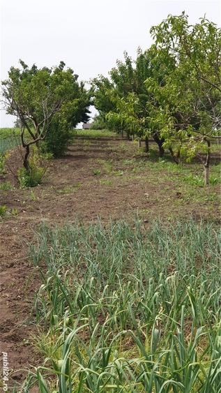 Vand sau inchiriez doua case la pre? de una!! - 1