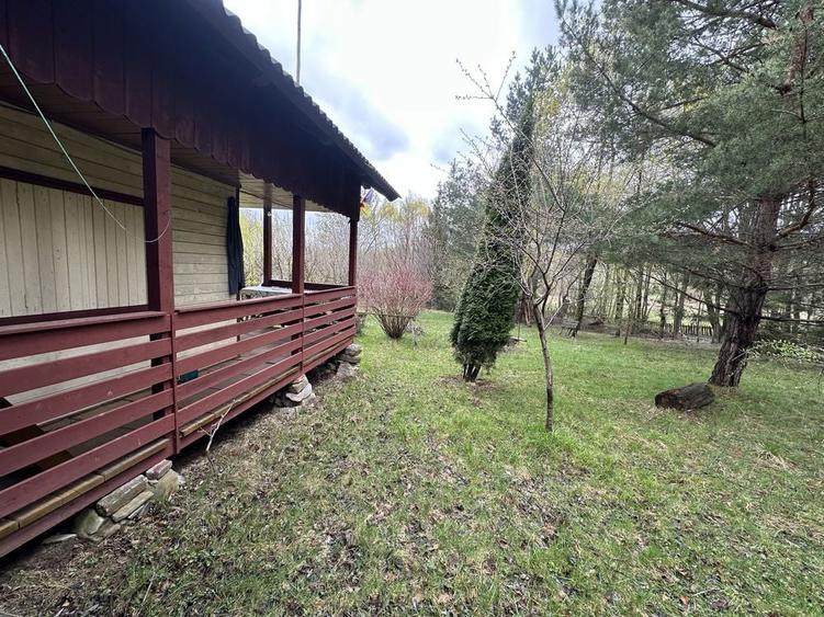 Cabana+Teren 12.200 m2 - 8