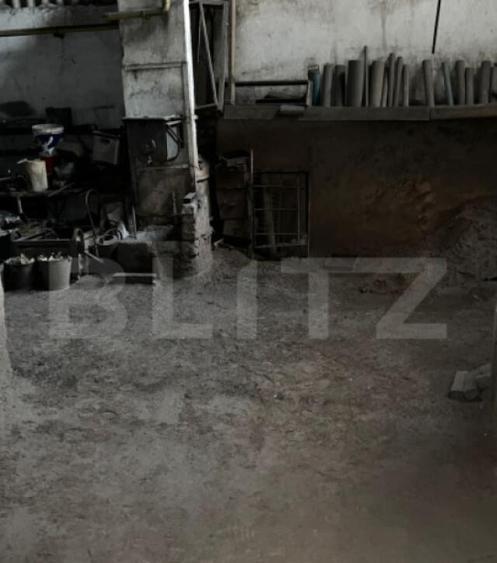 Spatiu Industrial de inchiriat, 350 mp, zona Dambul Rotund - 6