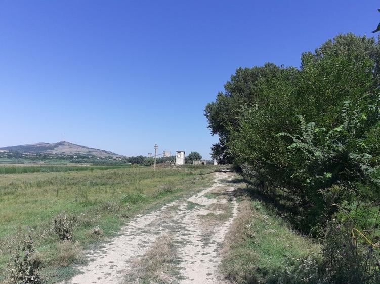 OCAZIE; teren MAHMUDIA 12euro/m.p. Suprafata 5000 m.p. Deschidere la Dunare 48m - 8